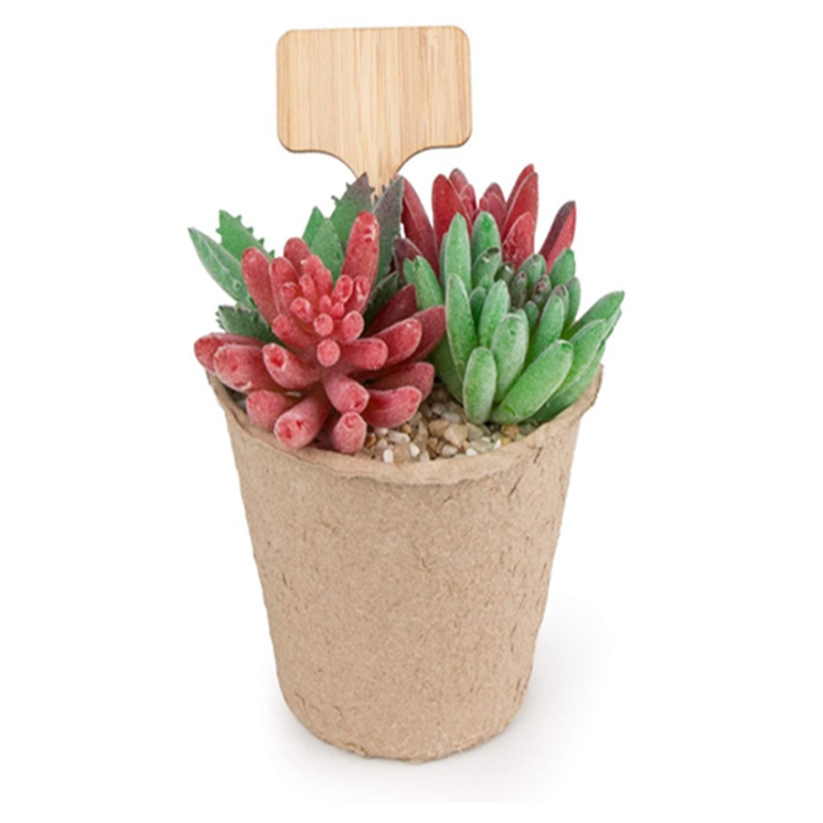 100Pcs Wooden Plant Tag Stakes - Floral Picks Wood review and price